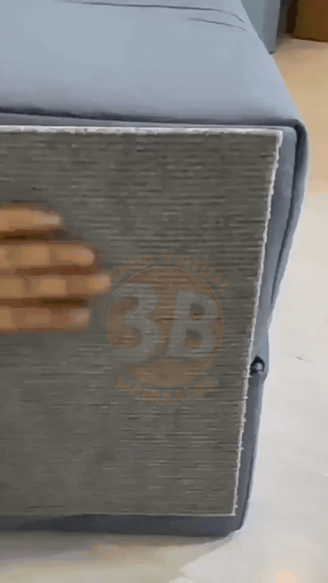 ¿Tu gato ya hizo de tus muebles su gimnasio personal? 😿