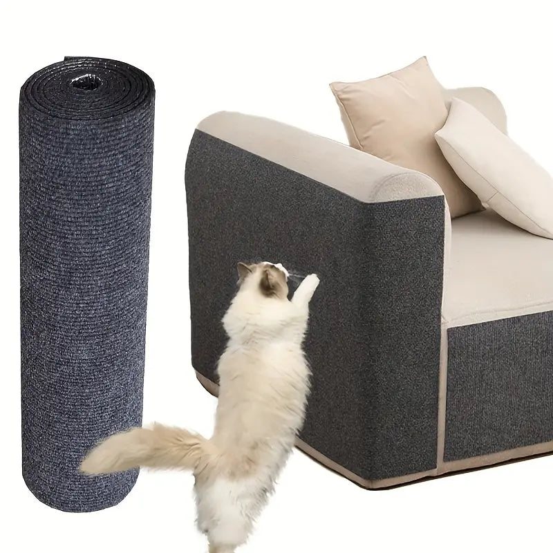 ¿Tu gato ya hizo de tus muebles su gimnasio personal? 😿